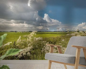 Polder landscape with Prince Willem-Alexander Bridge by Moetwil en van Dijk - Fotografie