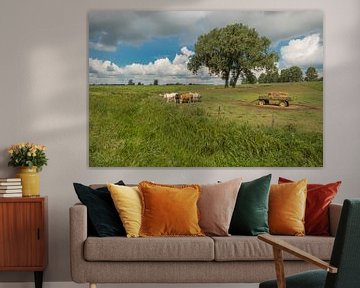 Hollandse koeien bij (hooi) strowagen in de Betuwse polder