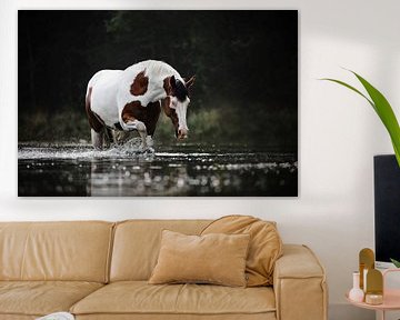 Cheval repéré marchant dans l'eau sur Lotte van Alderen