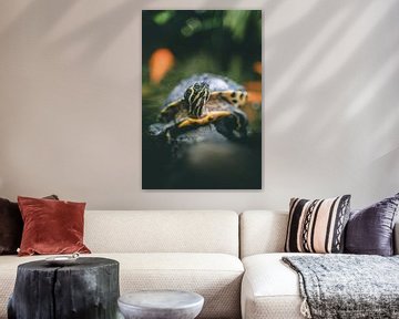 Schildpad portret geelbuikschildpad van Rick Wiersma