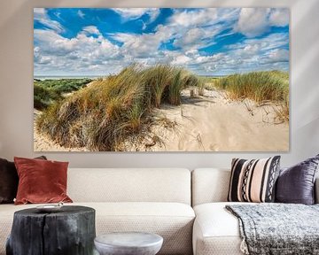 Ein sommerliches Bild von der Düne, dem Strand und der Nordsee von eric van der eijk
