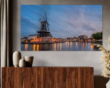 Aan het Spaarne