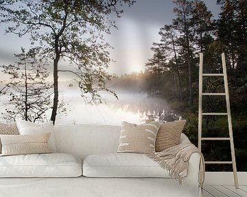 Swedish morning by Mark Leeman