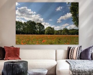 Een veld vol klaprozen met bomen aan de rand van het weiland en een mooie lucht met wolken, Hollands van Lieke van Grinsven van Aarle