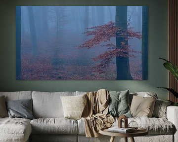 Forêt mystérieuse, enveloppée de brume, Arbre aux feuilles rouges/brunes. sur Epic Photography