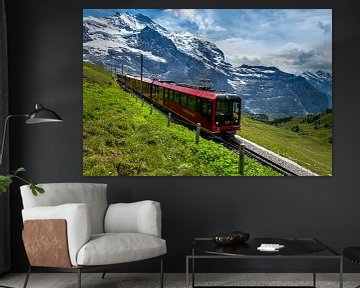 Jungfraubahn, Grindelwald, Schweiz von Adelheid Smitt