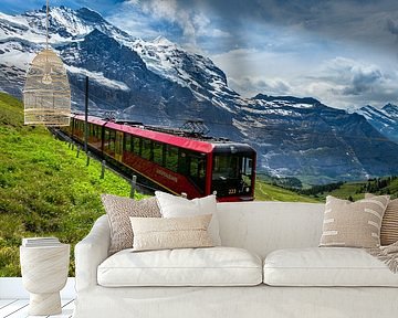 Jungfrau train, Grindelwald, Switzerland by Adelheid Smitt