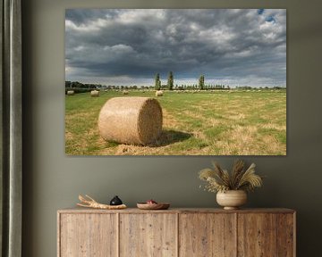 Heurollen - Heuballen auf dem Feld von Moetwil en van Dijk - Fotografie