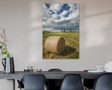 Rouleaux de foin - Balles de foin dans les champs sur Moetwil en van Dijk - Fotografie