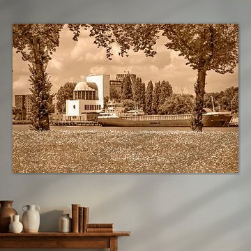 Rotterdam park and river - monochrome