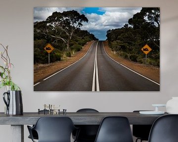 empty road in australia by Ivo de Rooij