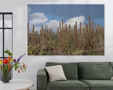 Cactus in de wolken. van Silvia Weenink