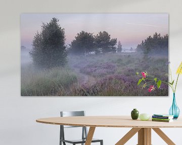 Ground fog on the heath by Manja van der Heijden