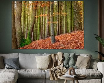 Mixed Autumnal Forest with a Beech Tree by Katho Menden