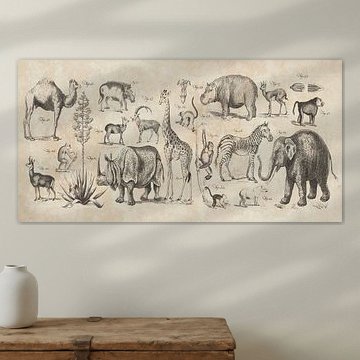 Wild Africa v2, Wild Apple Portfolio van Wild Apple