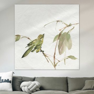 Sisken, Chris Paschke by Wild Apple