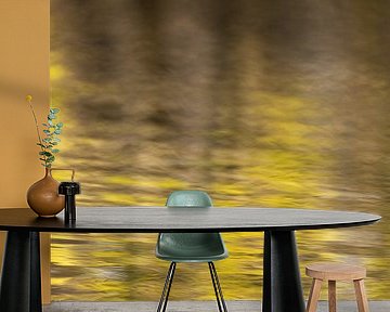 Water in Monet style by FotoSynthese