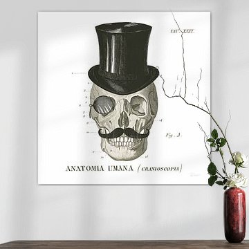 Dandy Bones I, Sue Schlabach von Wild Apple