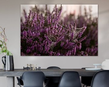 Spinrag en heide tijdens zonsopgang van Karijn | Fine art Natuur en Reis Fotografie