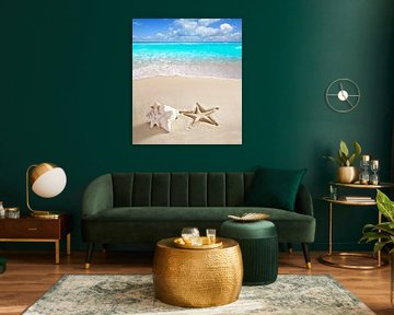 Plage tropicale avec un coquillage géant et l'empreinte d'une étoile de mer sur la plage sur Henny Hagenaars