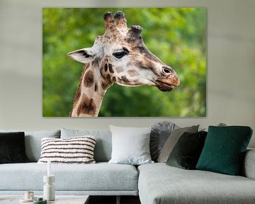Giraffe in close-up van Kris Christiaens