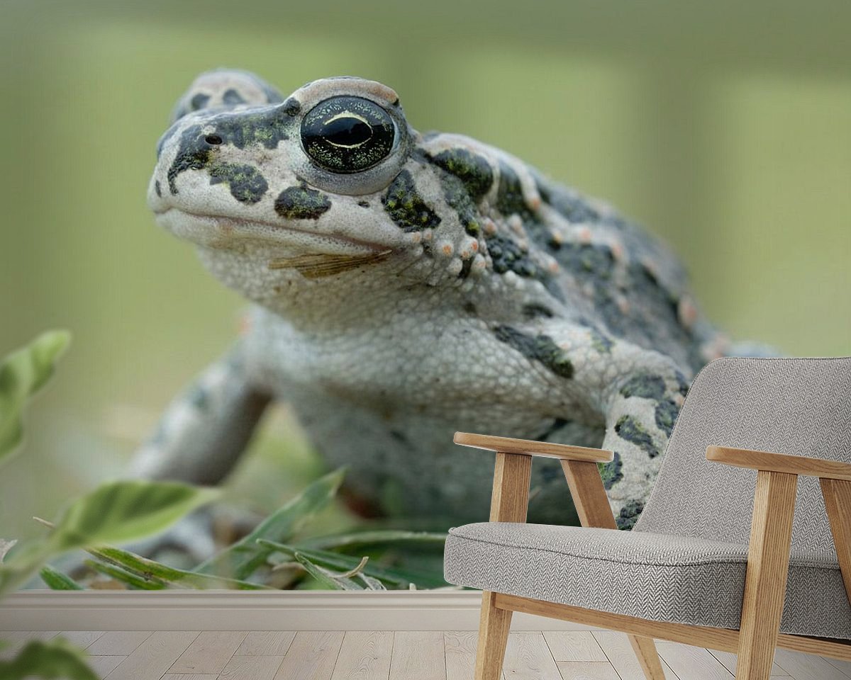 Raumvorschau
