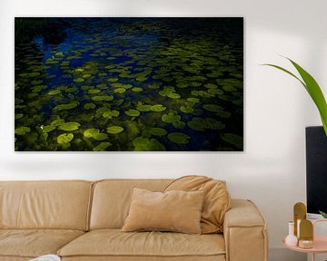 Waterlilies by tim eshuis
