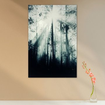 stil als een zucht van Dorit Fuhg