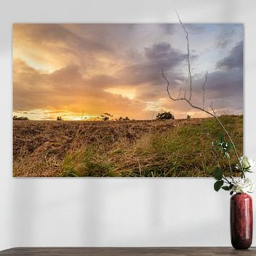 De magnifiques couleurs sur le Rhin