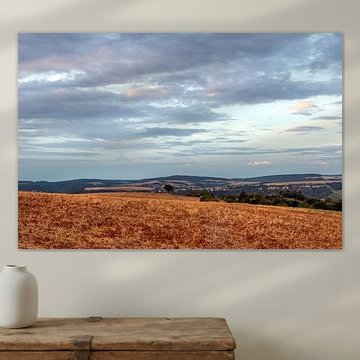 De magnifiques couleurs sur le Rhin