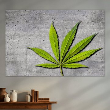 Marijuana leaf on grey background