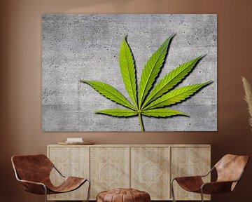 Marihuana Blatt auf grauem Hintergrund von Günter Albers