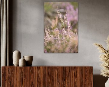 Flowering purple heather flowers on the veluwe. by Karijn | Fine art Natuur en Reis Fotografie