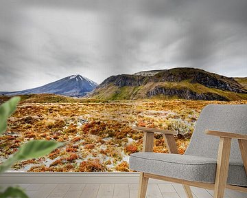 Mount Ngarahoe | Tongariro-Nationalpark | Neuseeland von RB-Photography