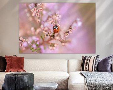 Ladybug in the flowering heather by KB Design & Photography (Karen Brouwer)