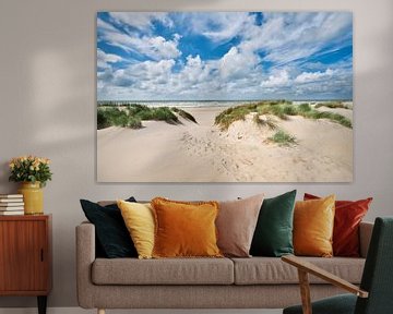 paysage de dunes avec la mer du Nord et la plage sur eric van der eijk