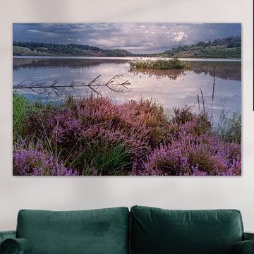 Paarse heide bij zonsondergang