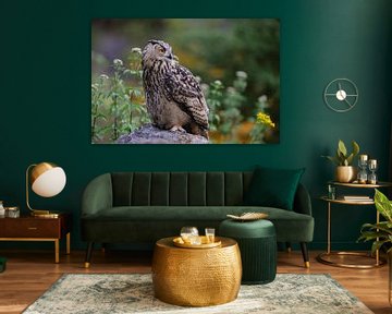 Eagle Owl ( Bubo bubo ) perched on a rock in an old querry surrounded by beautiful flowers, watching by wunderbare Erde