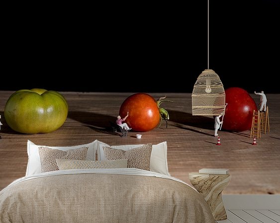 Aperçu de la chambre