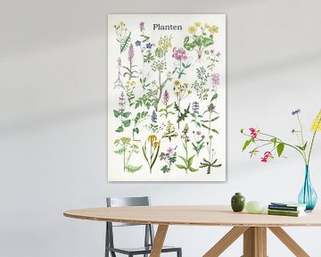Plants by Jasper de Ruiter