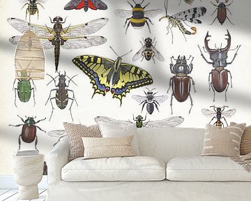 Insects van Jasper de Ruiter