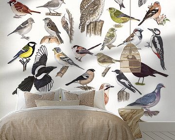 Gardenbirds van Jasper de Ruiter