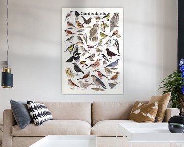 Gardenbirds by Jasper de Ruiter