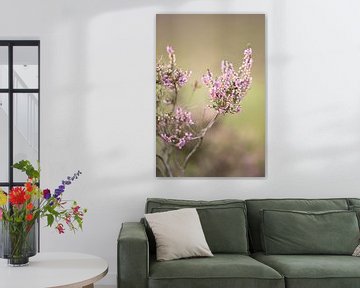 Flowering purple heather flowers on the veluwe. by Karijn | Fine art Natuur en Reis Fotografie