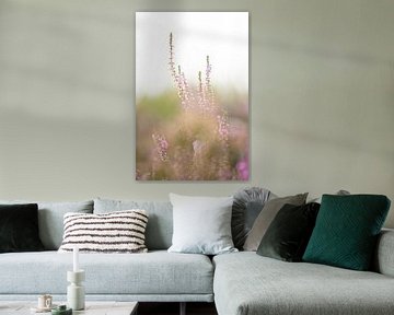 Blühende lila Heidekrautblüten auf der Veluwe. von Karijn | Fine art Natuur en Reis Fotografie