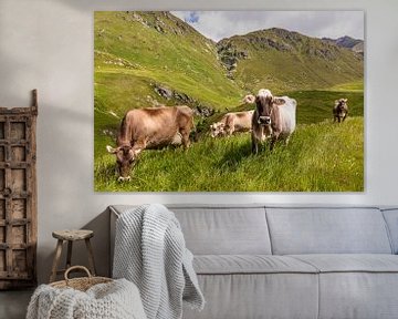 Koeien in de wei in Zwitserland van Werner Dieterich