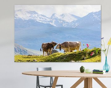 Kühe auf der Alm in der Schweiz von Werner Dieterich