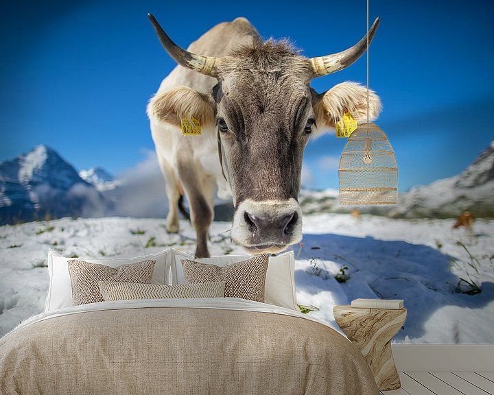 Sfeerimpressie behang: Koe in de sneeuw bij First, Zwitserland van Maurice Haak