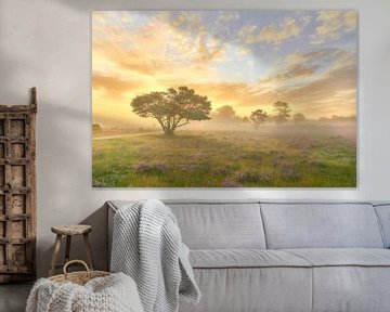 Sunrise on the purple heath by Ad Jekel