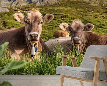 Bovine on the alpine pasture in the Swiss Alps by Werner Dieterich